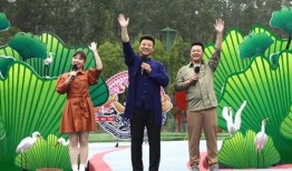 爆料缅北医生事件视频最新,真相与反思