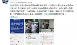 深圳网民陈先生最新爆料,揭秘事件背后惊人真相！